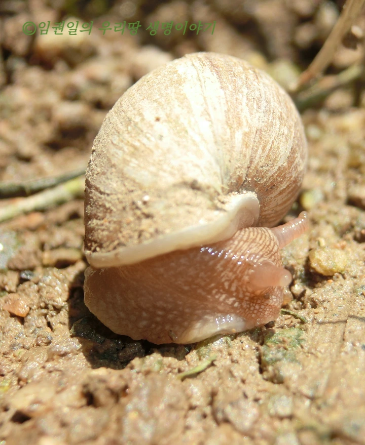 SE-fe20c472-0b9a-499e-8fe6-4f93f538800d.png?type=w773