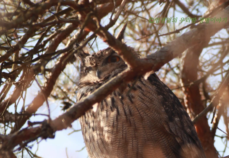 SE-90d49abe-fbda-4105-be30-afddeee240db.png?type=w773