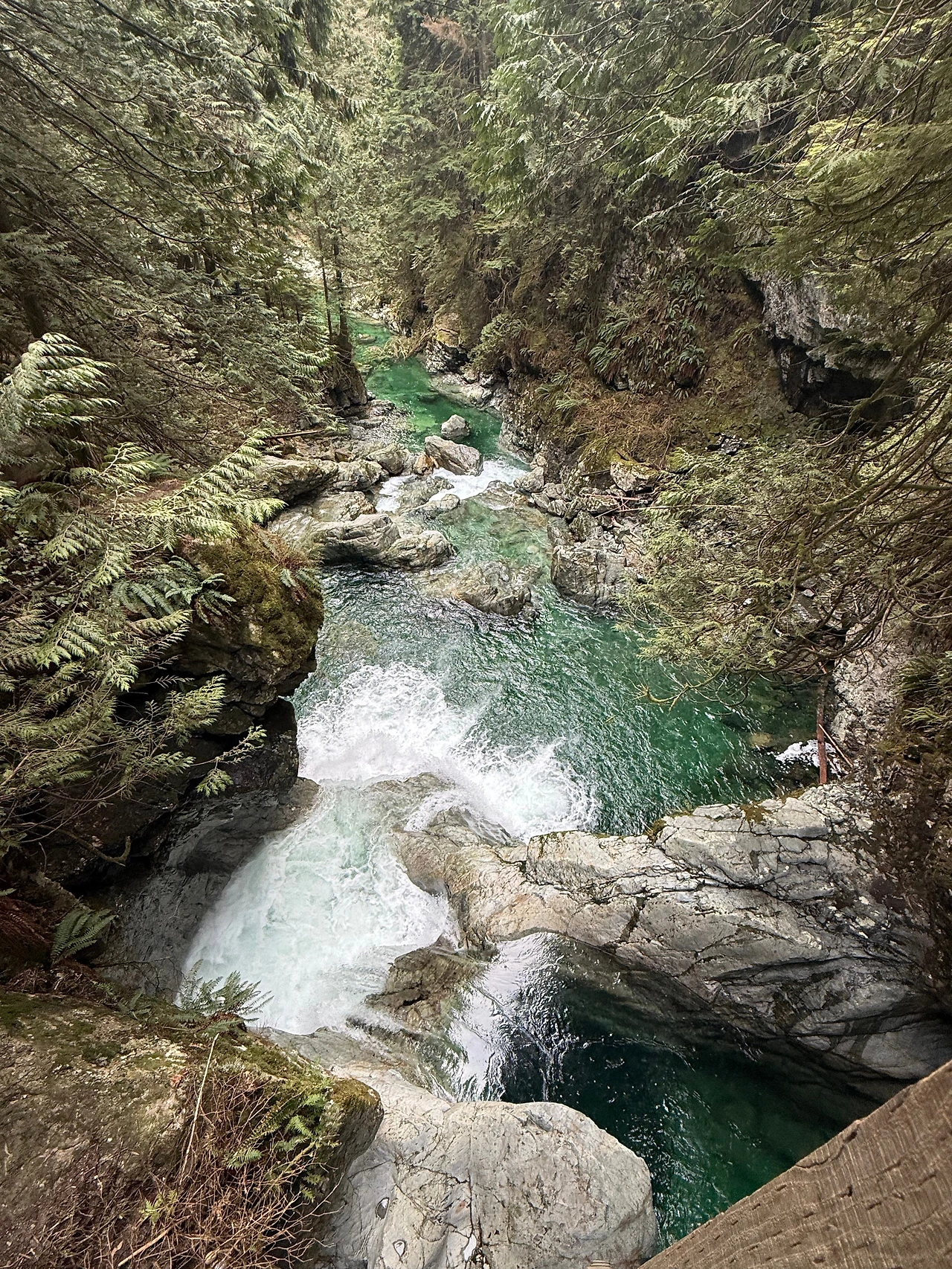 KakaoTalk_Photo_2026-02-27-21-18-24 006.jpeg