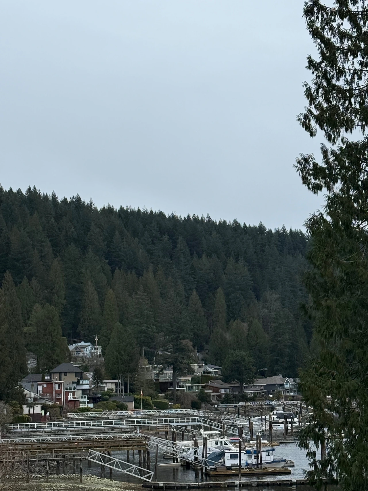 KakaoTalk_Photo_2026-02-27-21-17-53 001.jpeg