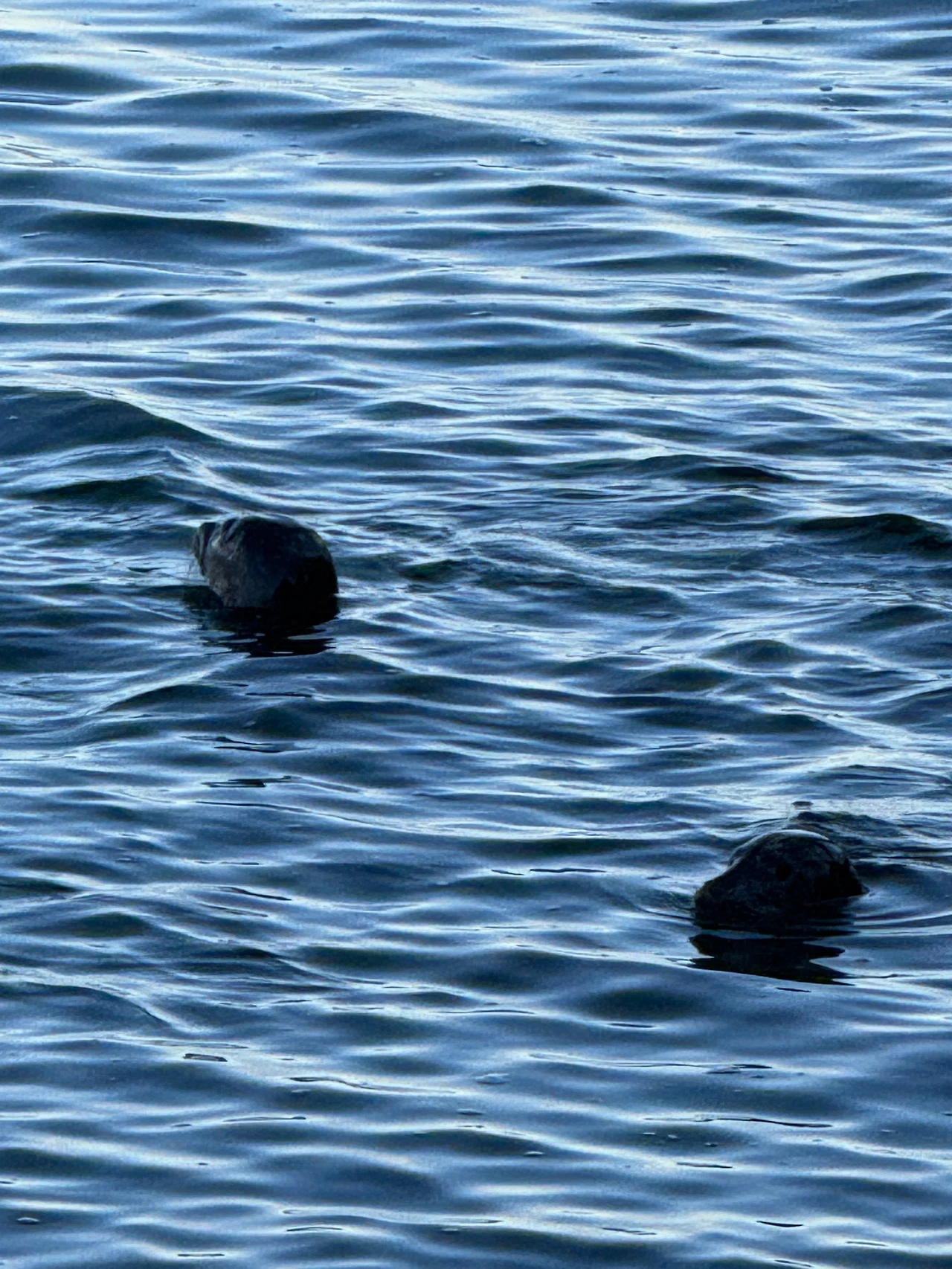 KakaoTalk_Photo_2026-02-27-21-29-05 002.jpeg