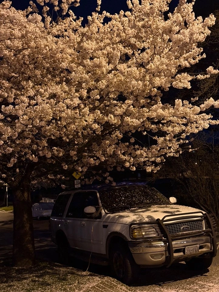 KakaoTalk_Photo_2026-04-01-14-12-28 002.jpeg