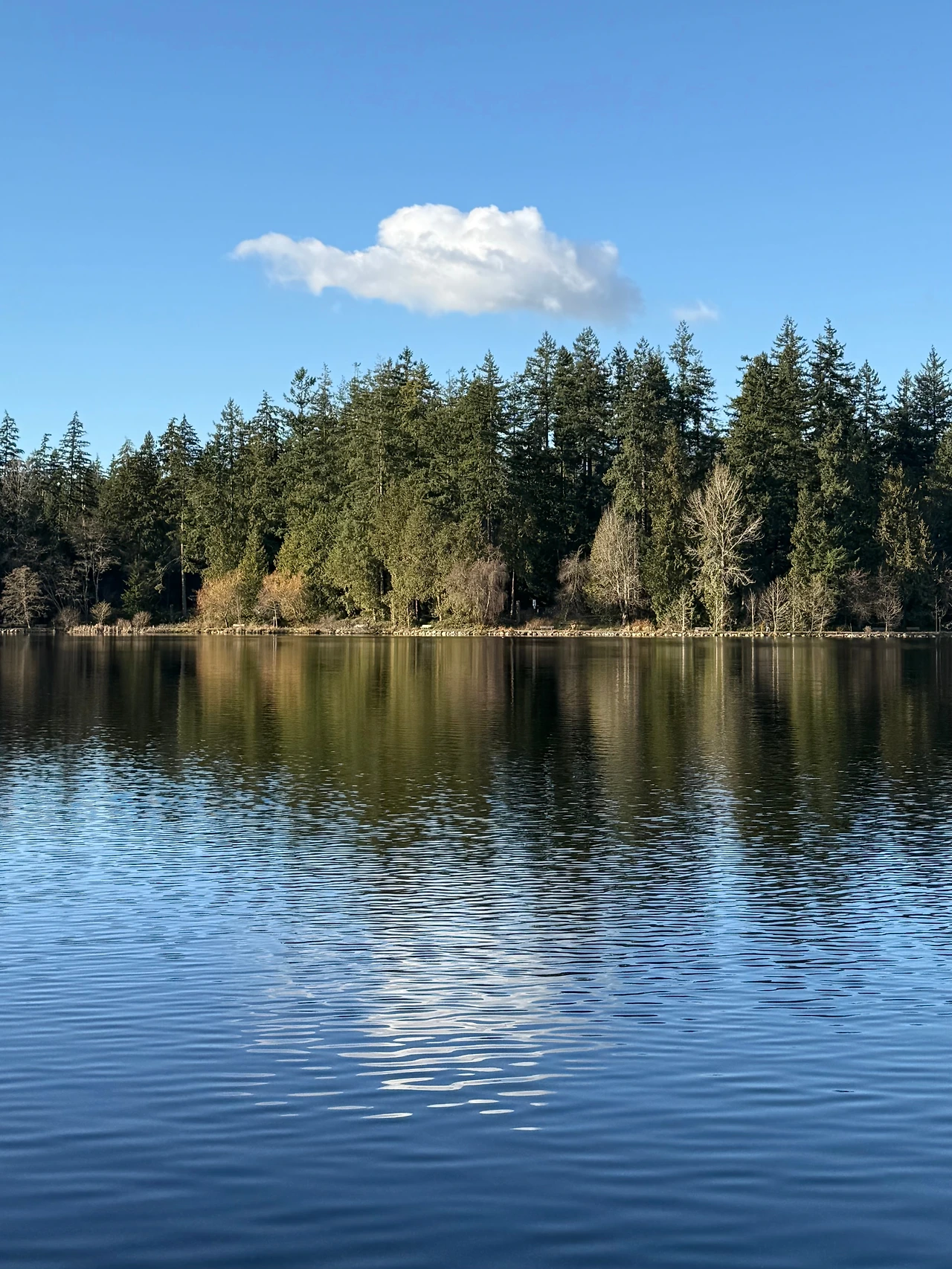 KakaoTalk_Photo_2026-02-27-21-29-01 001.jpeg