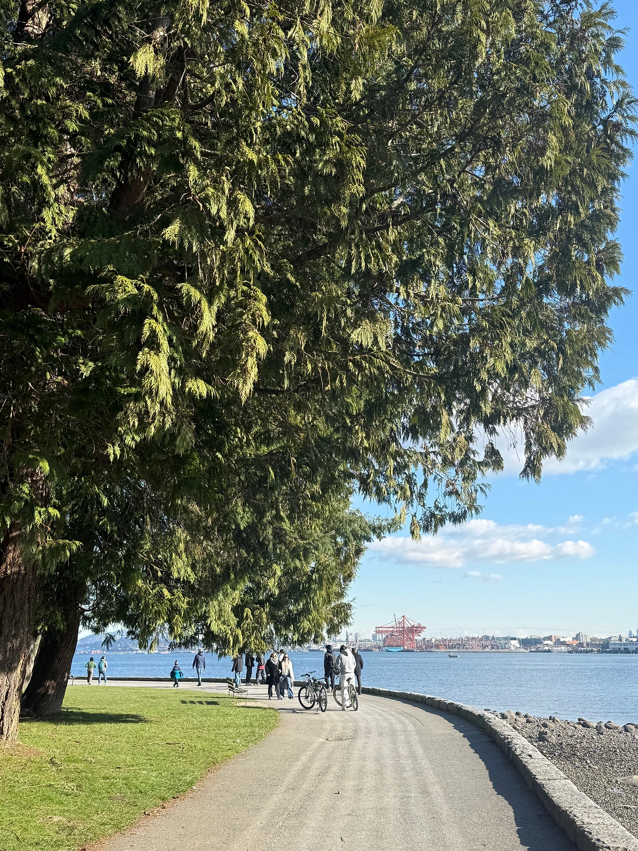 KakaoTalk_Photo_2026-02-27-21-29-08 004.jpeg