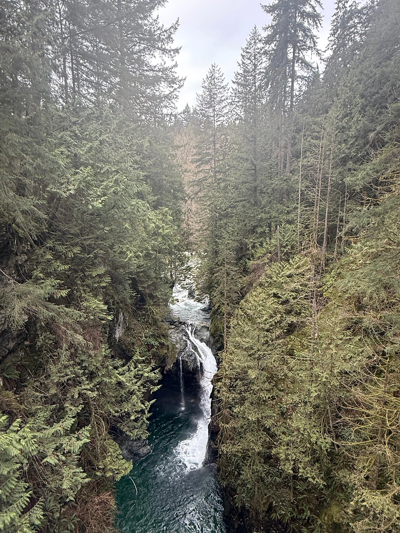 KakaoTalk_Photo_2026-02-27-21-18-03 004.jpeg