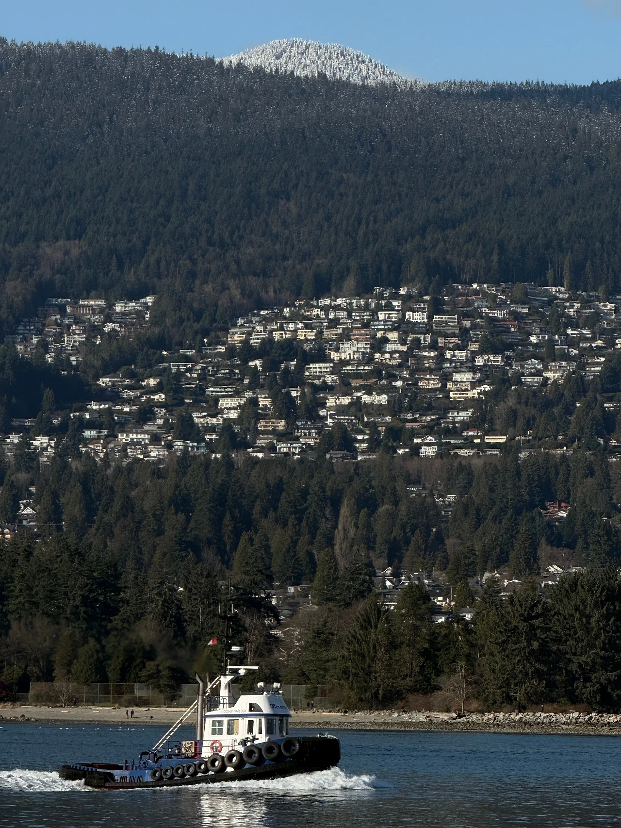 KakaoTalk_Photo_2026-02-27-20-26-58 001.jpeg