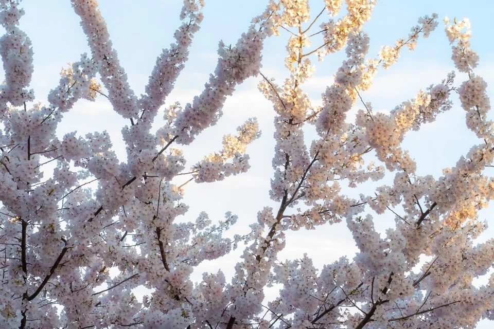 KakaoTalk_Photo_2026-04-01-14-12-30 003.jpeg