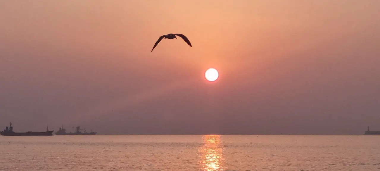 20240213%EF%BC%BF073411.jpg?type=w1600