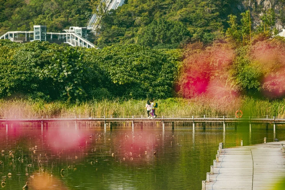 Ecological_pond_of_Wetland(2)_1.jpg?type=w966