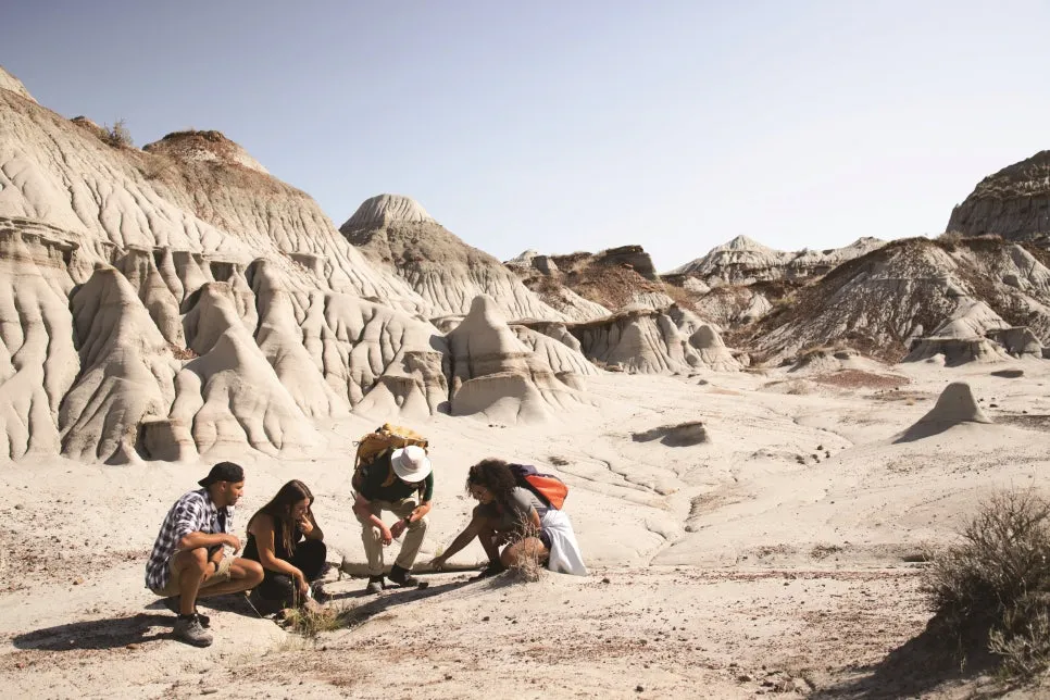 %EA%B3%B5%EB%A3%A1_%EC%A3%BC%EB%A6%BD%EA%B3%B5%EC%9B%90.jpg?type=w966