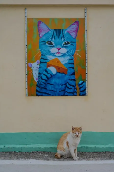 %EA%B3%A0%EC%96%91%EC%9D%B4_%EC%84%AC_%EC%8B%9C%EC%A0%88_(2).jpg?type=w466