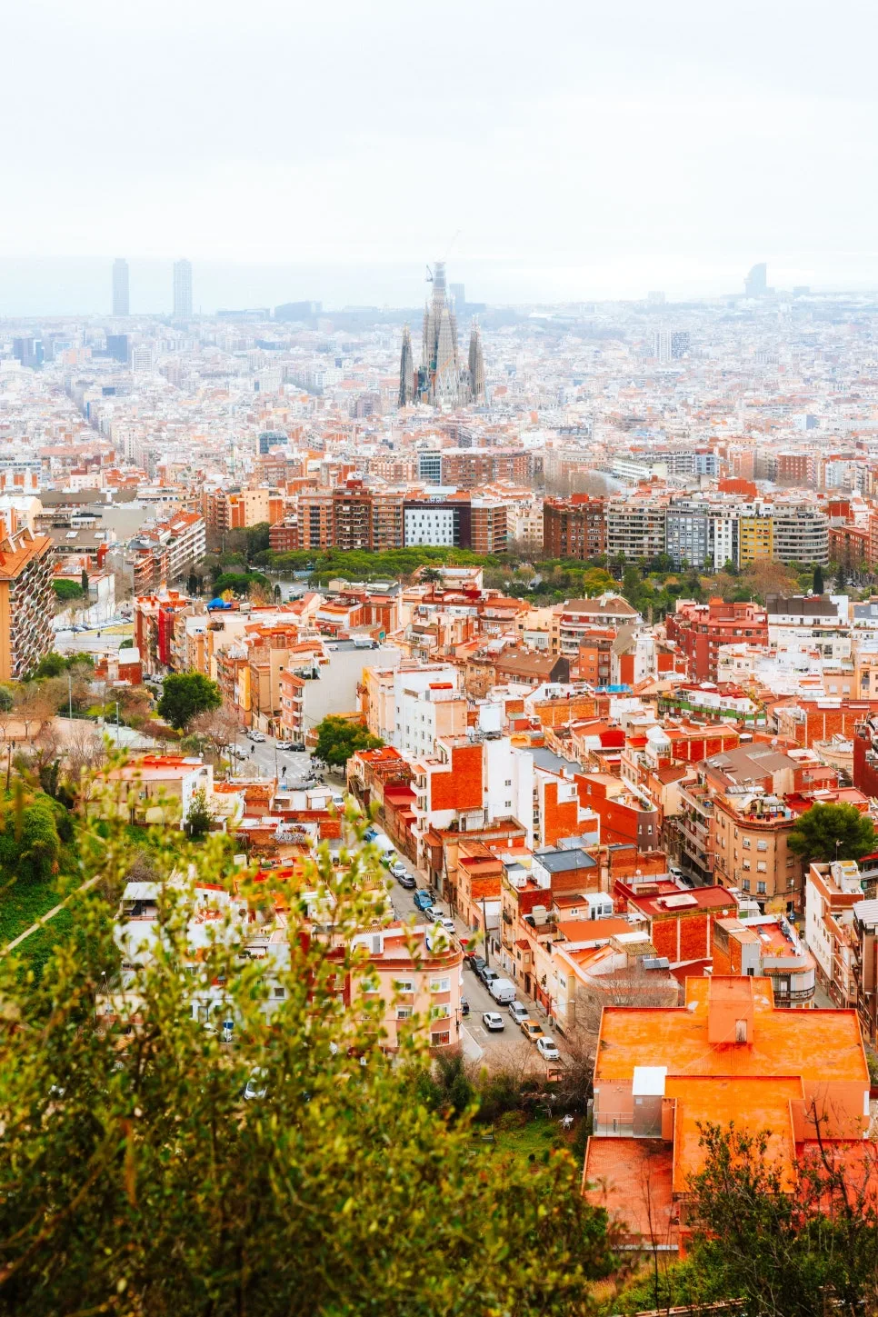 %EB%8F%84%EB%B9%84%EB%9D%BC_(5)_2.jpg?type=w966