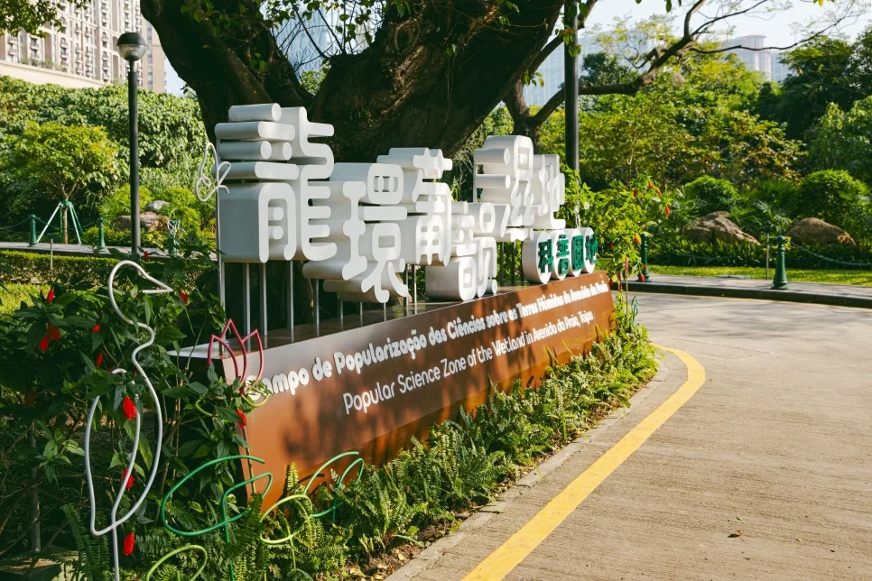 Ecological_pond_of_Wetland(5)_1.jpg?type=w966