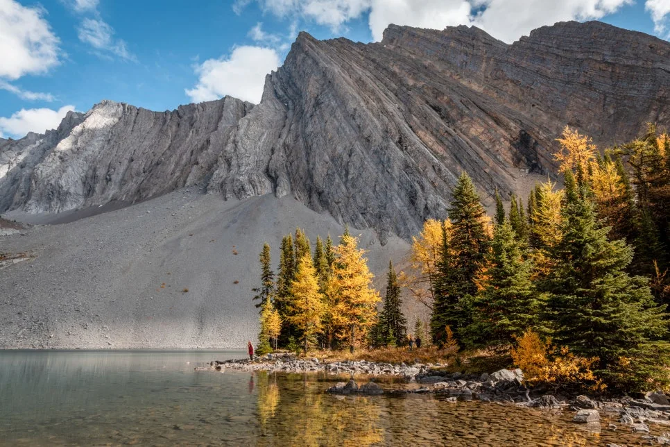 TA_a20-035798-High-Res.jpg?type=w966