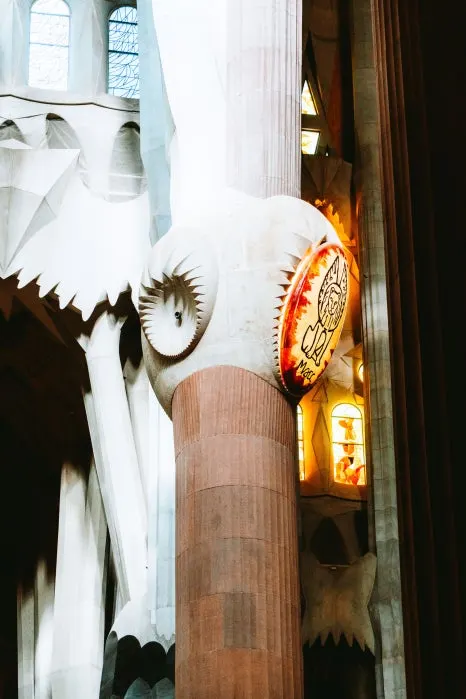 %EC%82%AC%EA%B7%B8%EB%9D%BC%EB%8B%A4_%ED%8C%8C%EB%B0%80%EB%A6%AC%EC%95%84_(3)_1.jpg?type=w466