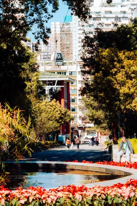 Flora_Garden(2)_1.jpg?type=w466