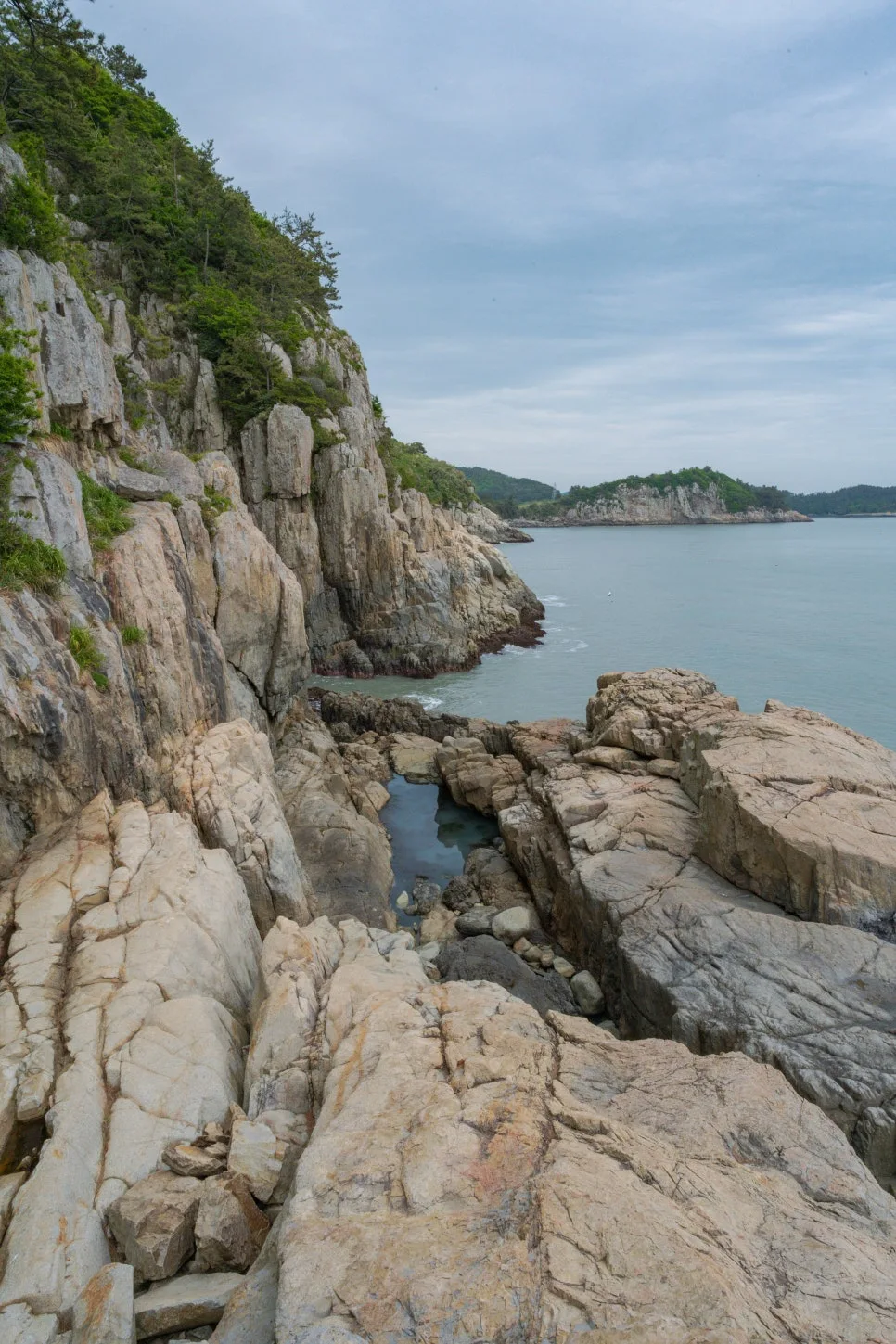 %EC%8B%A0%EC%84%A0%EB%8C%80_%EC%A4%91%EB%B9%A0%EC%A7%84%EA%B5%B4_(2).jpg?type=w966