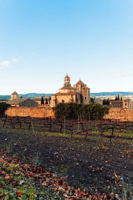 %ED%8F%AC%EB%B8%94%EB%A0%9B_%EC%88%98%EB%8F%84%EC%9B%90_(2)_1.jpg?type=w466