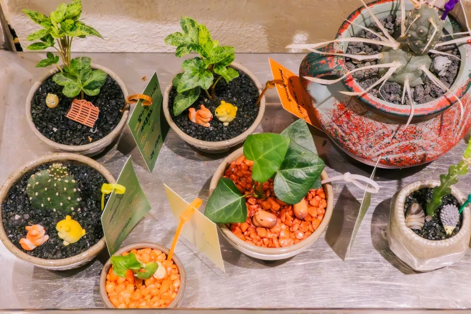 %ED%8E%98%EC%9D%B4%ED%8D%BC%EA%B0%80%EB%93%A0-11.jpg?type=w966