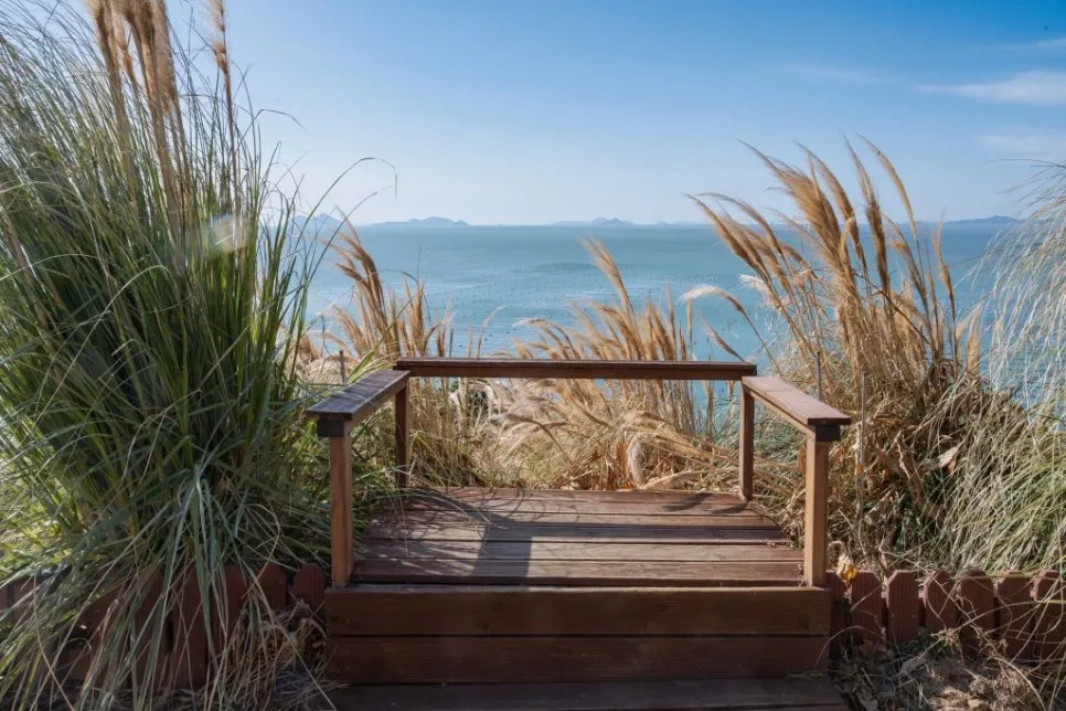 %EC%91%A5%EC%84%AC_(20)_1.jpg?type=w966