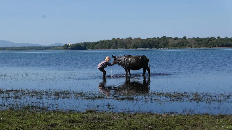 00_5.%EB%82%A8%EC%9A%B4%EB%8C%90%EB%AC%BC%EC%86%8C%EB%86%8D%EC%9E%A58.jpeg?type=w966