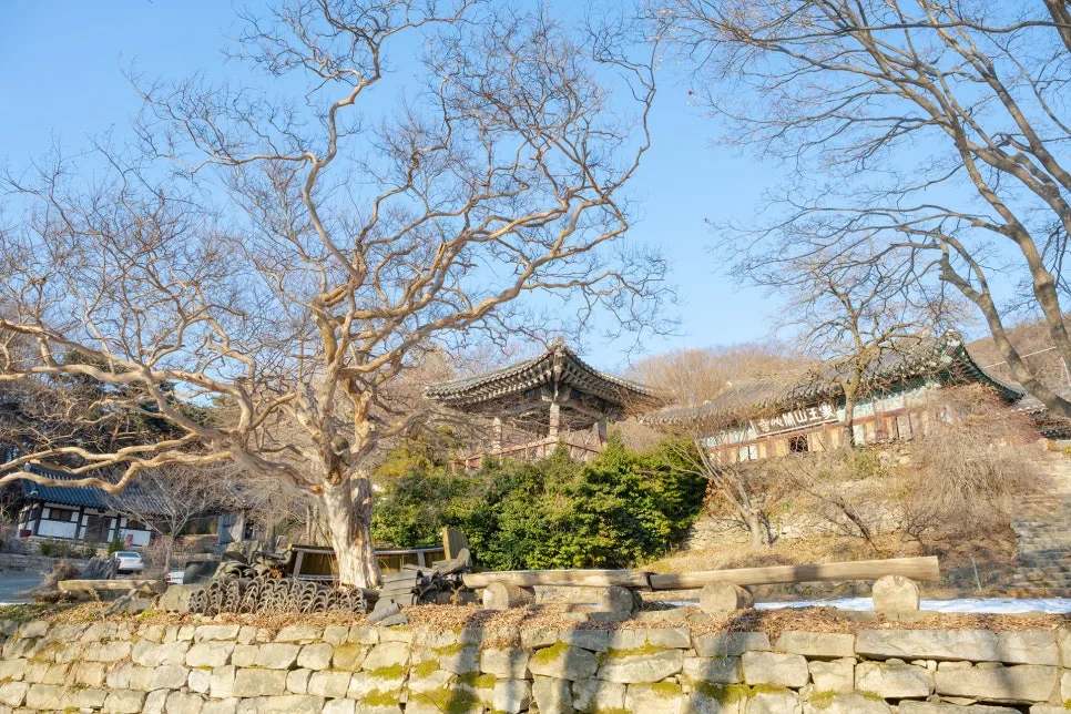 %EA%B0%9C%EC%8B%AC%EC%82%AC_(4).jpg?type=w966