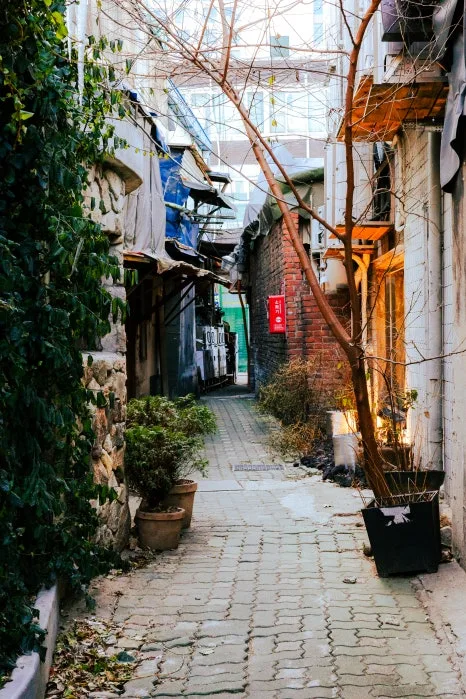 %ED%99%A9%ED%95%99%EB%8F%99_(15).jpg?type=w466