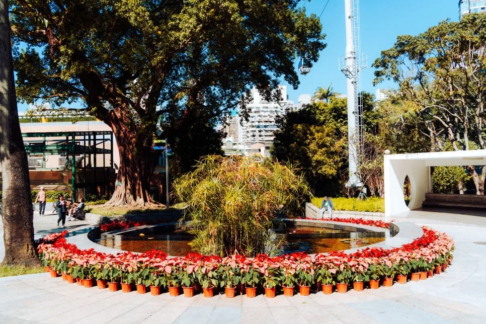 Flora_Garden(4)_1.jpg?type=w966