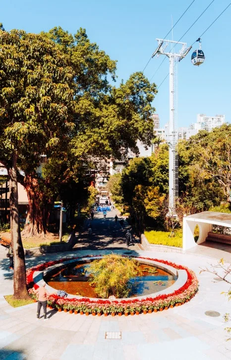 Flora_Garden(3)_1.jpg?type=w466