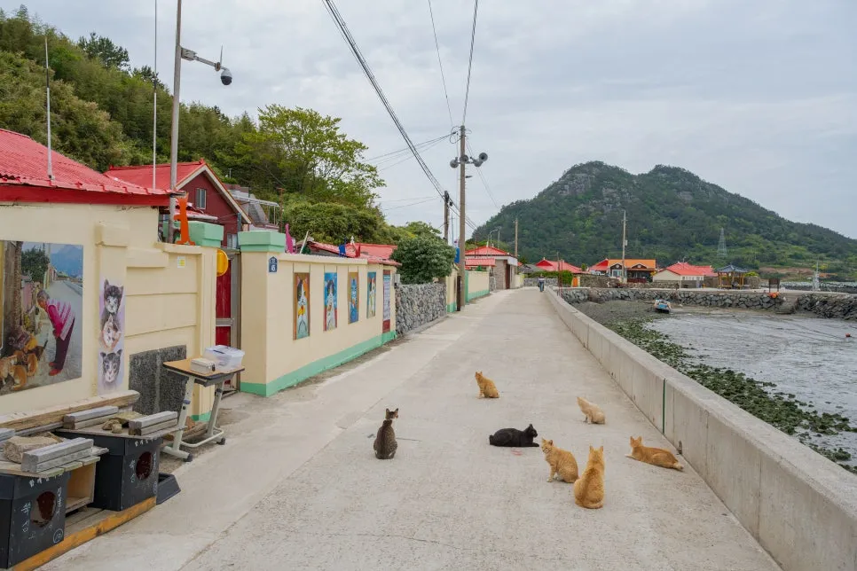 %EA%B3%A0%EC%96%91%EC%9D%B4_%EC%84%AC_%EC%8B%9C%EC%A0%88_(1).jpg?type=w966