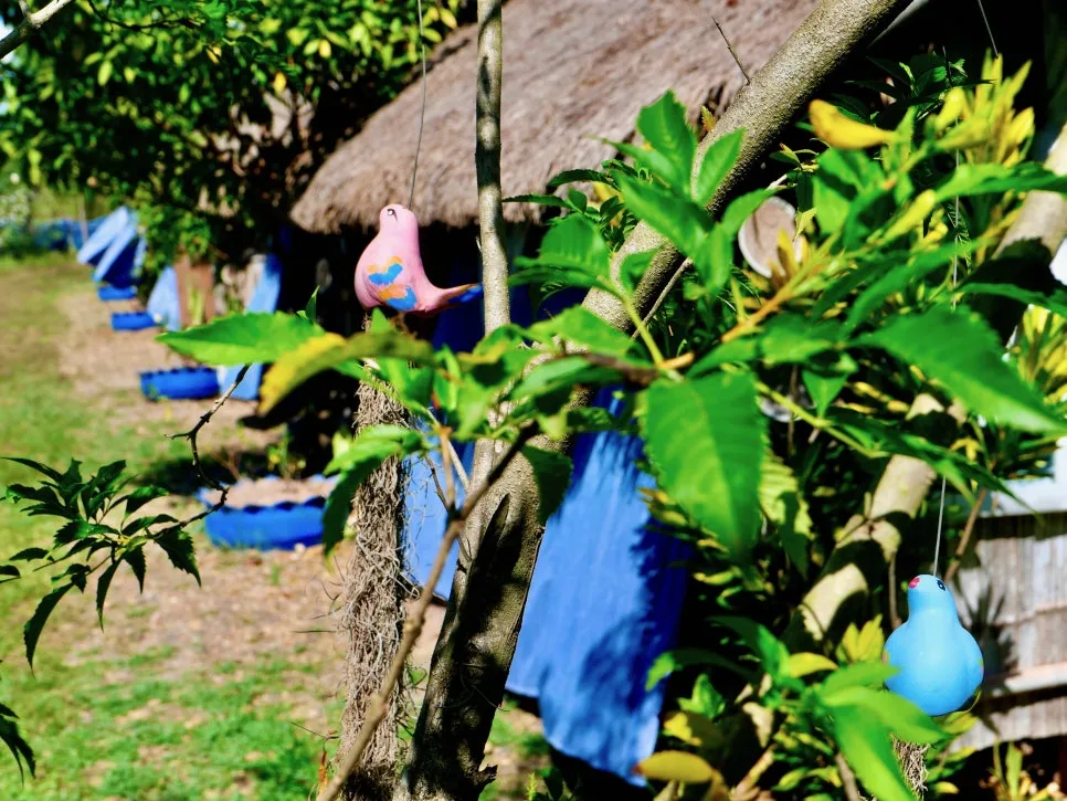 3.%EB%B0%98%EB%82%98%EC%B8%A0%EC%96%B5%EB%A1%9C%EC%BB%AC%EB%A7%88%EC%9D%84%EA%B4%80%EA%B4%918.jpeg?type=w966