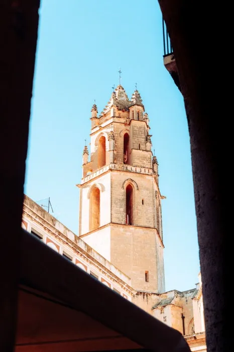 %EC%82%B0%ED%8A%B8_%ED%8E%98%EB%A0%88_%ED%94%84%EB%A6%AC%EC%98%A4%EB%9E%84_%EA%B5%90%ED%9A%8C_(3)_1.jpg?type=w466