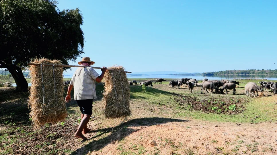 5.%EB%82%A8%EC%9A%B4%EB%8C%90%EB%AC%BC%EC%86%8C%EB%86%8D%EC%9E%A53.jpeg?type=w966