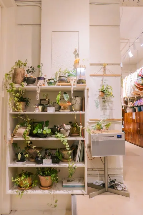 %ED%8E%98%EC%9D%B4%ED%8D%BC%EA%B0%80%EB%93%A0-04.jpg?type=w466