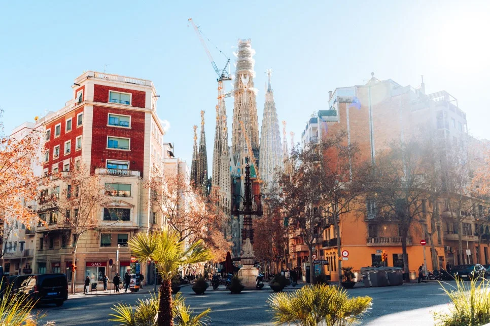 %EC%82%AC%EA%B7%B8%EB%9D%BC%EB%8B%A4_%ED%8C%8C%EB%B0%80%EB%A6%AC%EC%95%84_(5)_1.jpg?type=w966