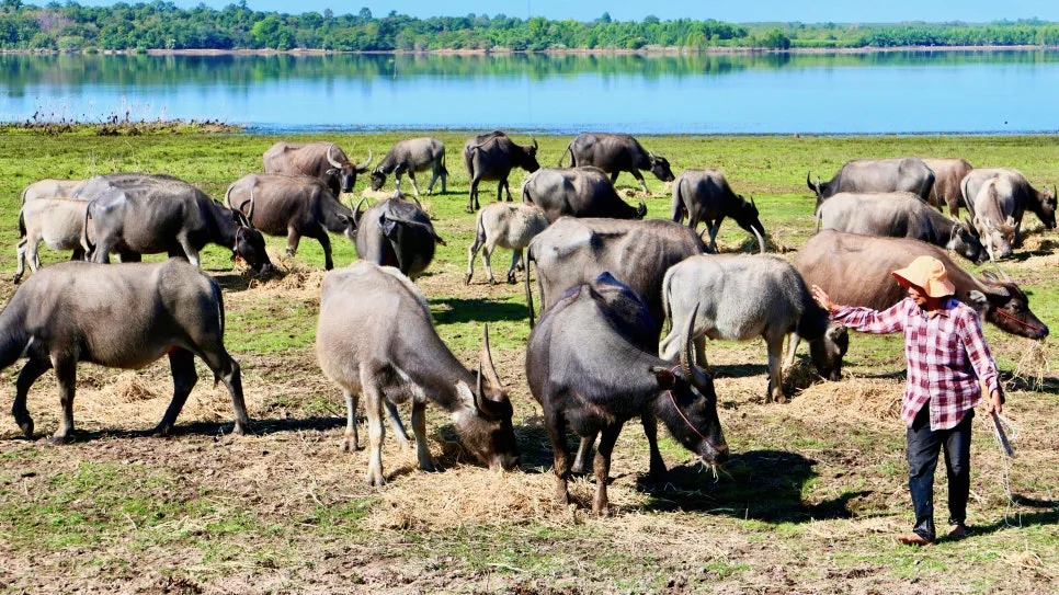 5.%EB%82%A8%EC%9A%B4%EB%8C%90%EB%AC%BC%EC%86%8C%EB%86%8D%EC%9E%A54.jpeg?type=w966