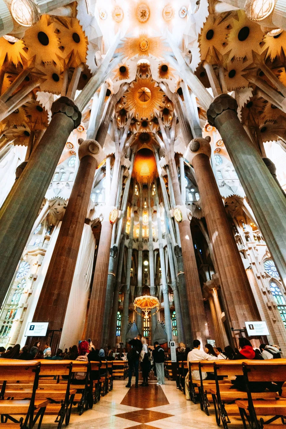 %EC%82%AC%EA%B7%B8%EB%9D%BC%EB%8B%A4_%ED%8C%8C%EB%B0%80%EB%A6%AC%EC%95%84_(2)_1.jpg?type=w966