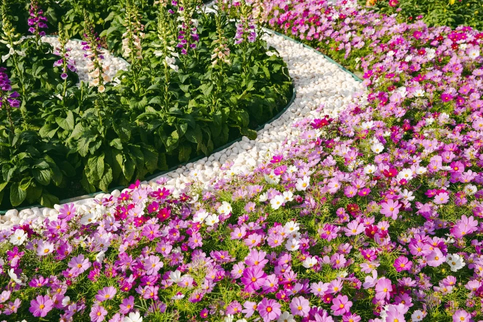 Ecological_pond_of_Wetland(3)_1.jpg?type=w966