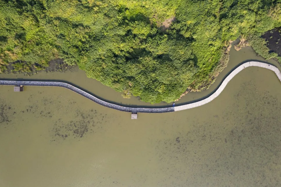 Ecological_pond_of_Wetland(4)_1.jpg?type=w966