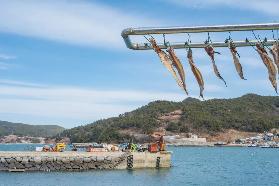 %EC%91%A5%EC%84%AC_(13).jpg?type=w966