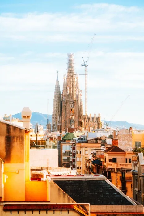 %EC%82%AC%EA%B7%B8%EB%9D%BC%EB%8B%A4_%ED%8C%8C%EB%B0%80%EB%A6%AC%EC%95%84_(1)_1.jpg?type=w466