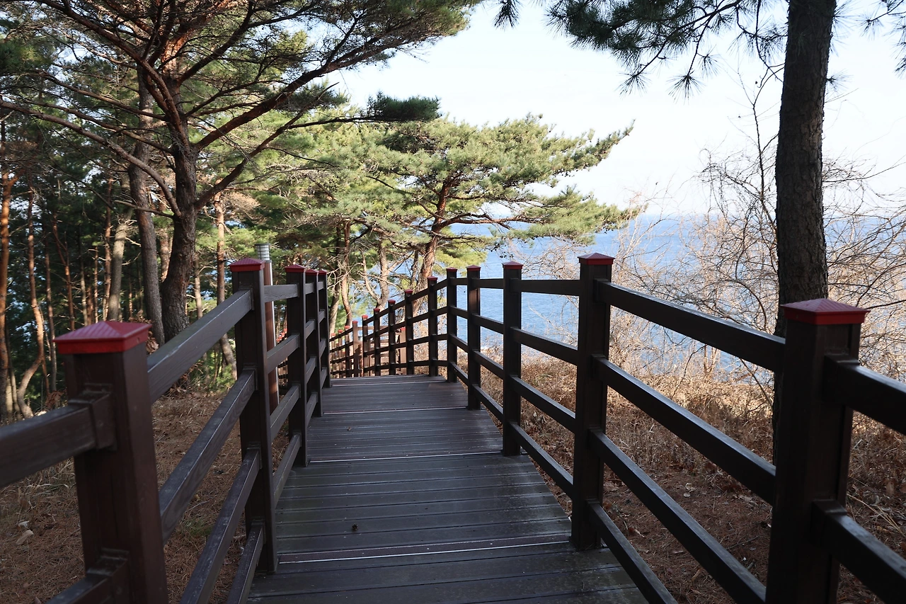 0R5A2033_новый размер.JPG