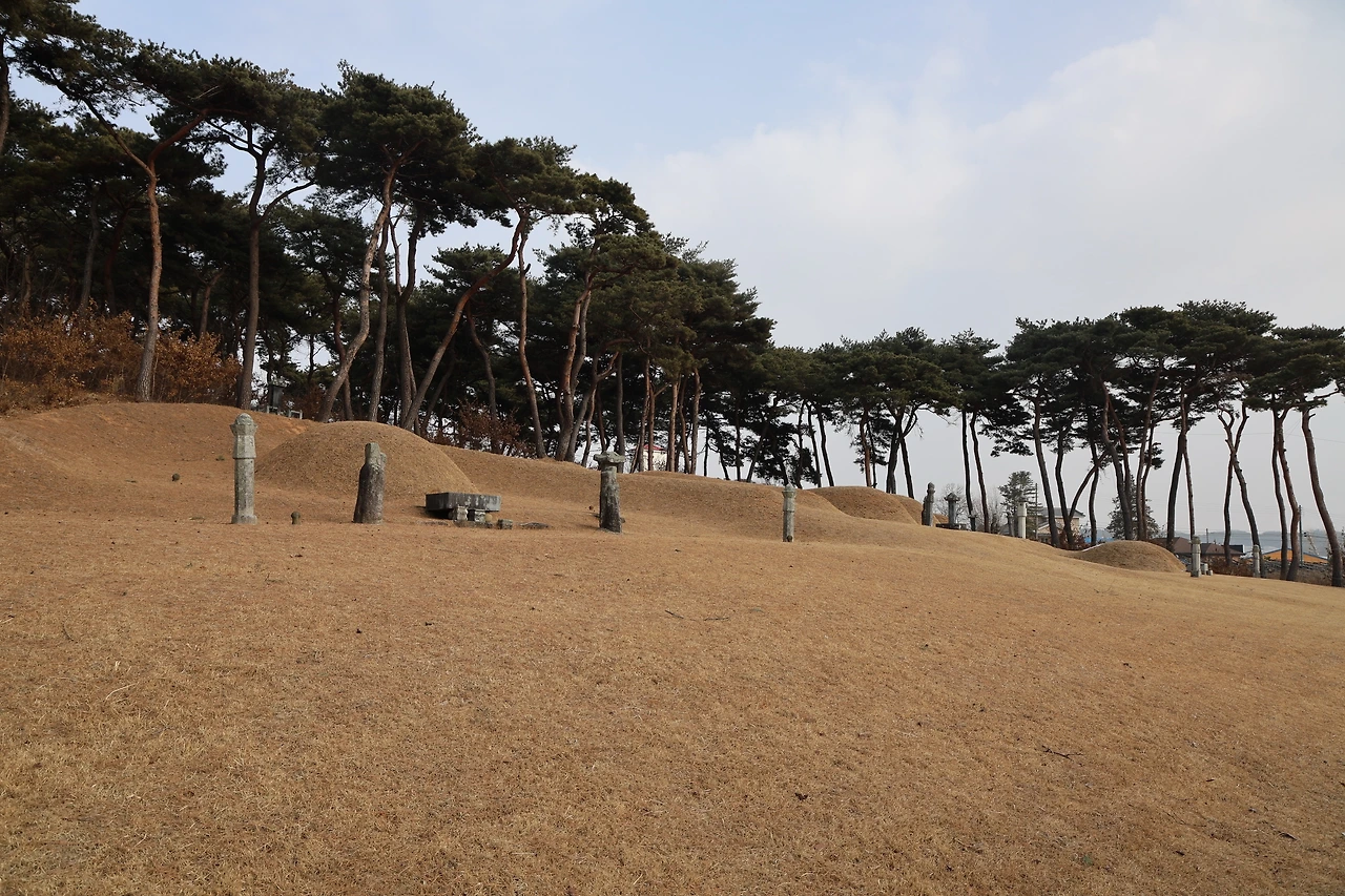 0R5A9756_новый размер.JPG