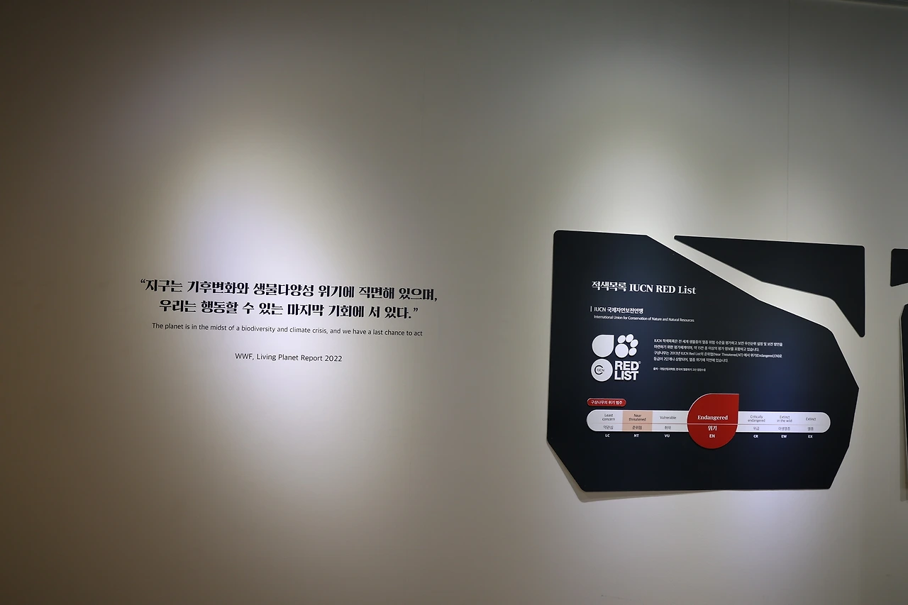 0R5A8899_новый размер.JPG