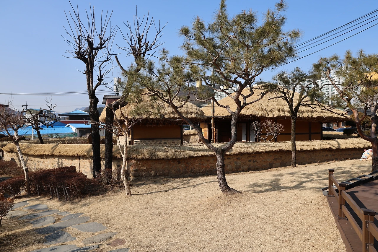 0R5A9328_новый размер.JPG