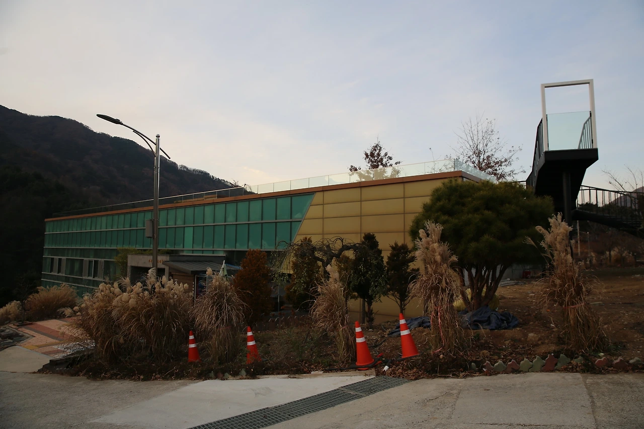 MG0A3778_новый размер.JPG