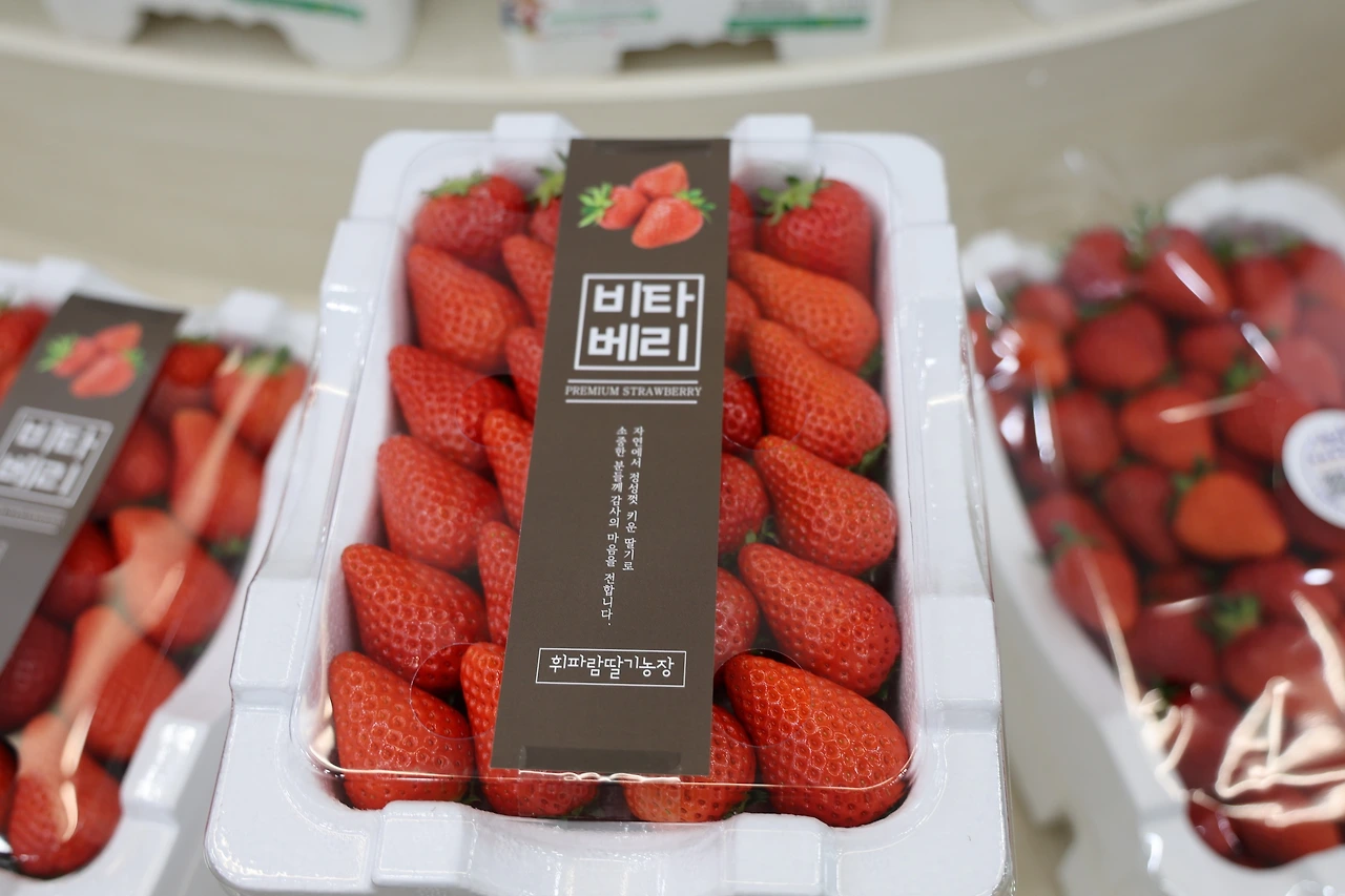 0R5A6340_новый размер.JPG