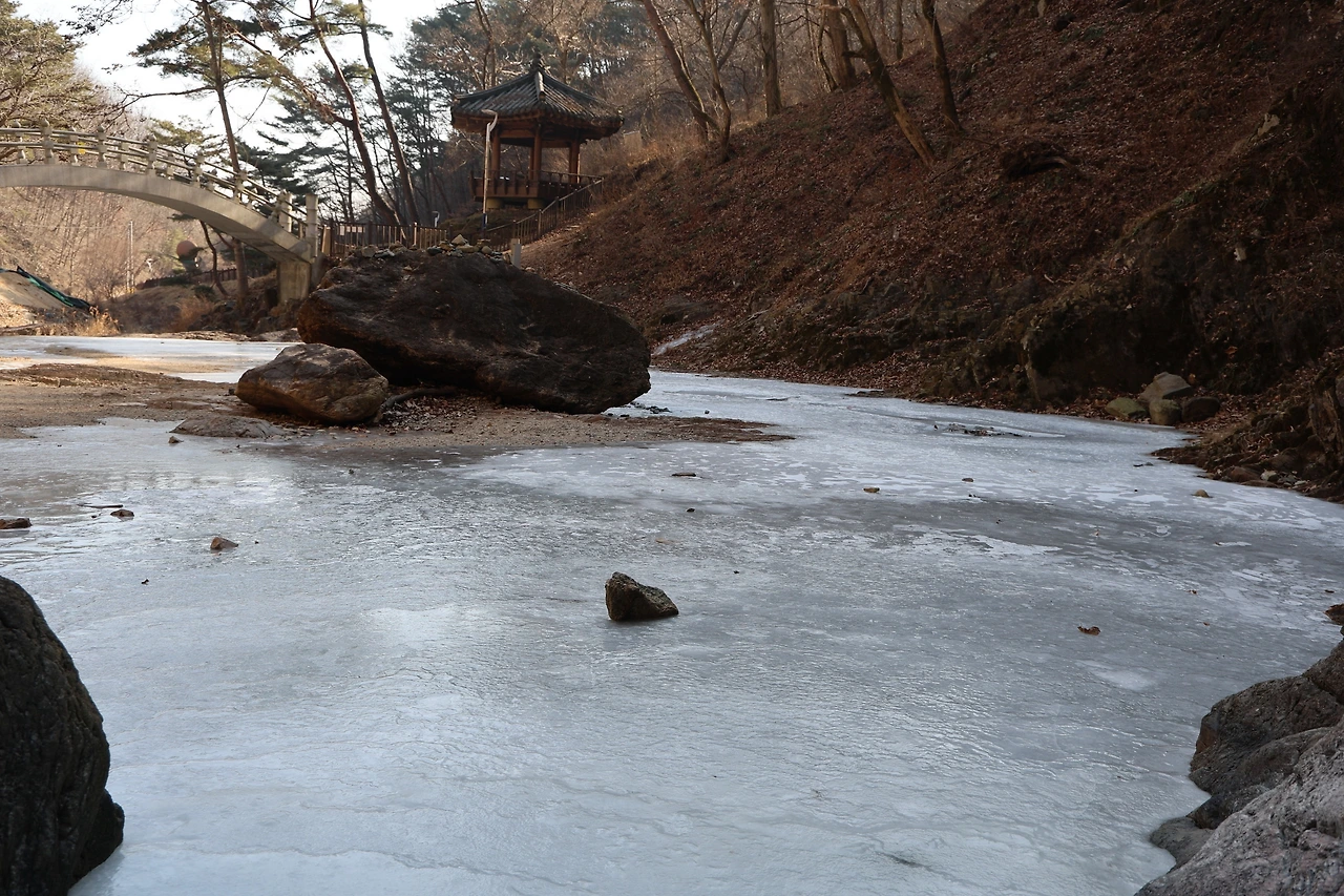 0R5A9261_новый размер.JPG