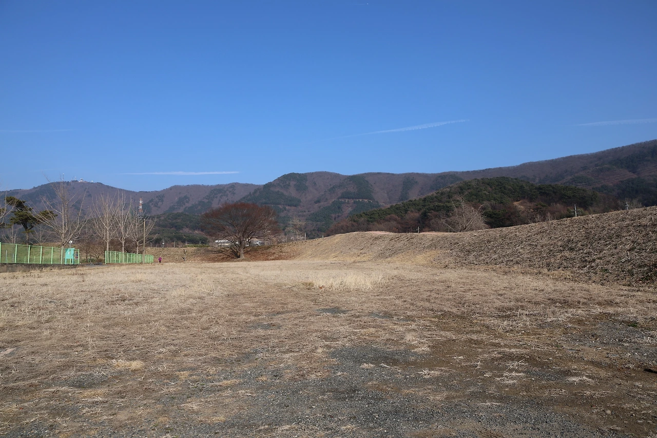 0R5A3897_новый размер.JPG