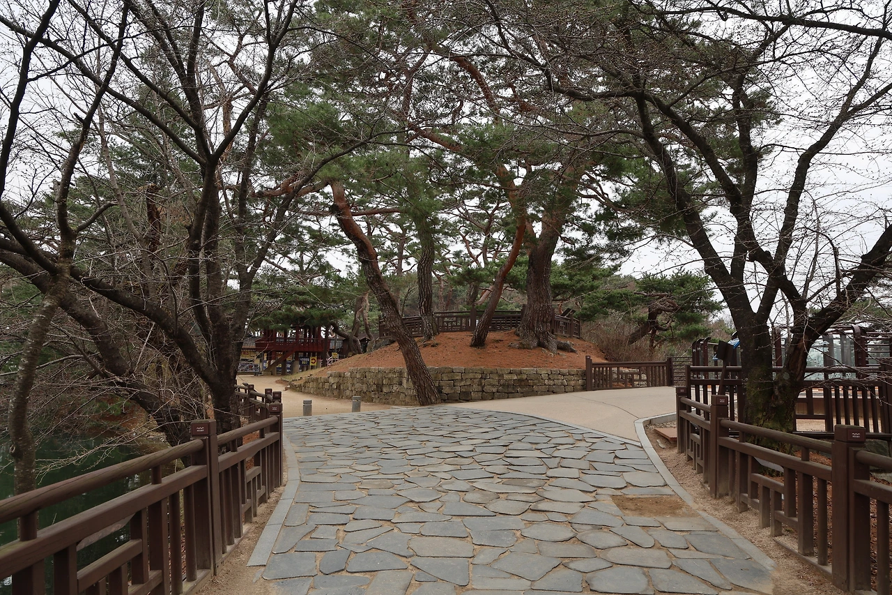 0R5A6911_новый размер.JPG